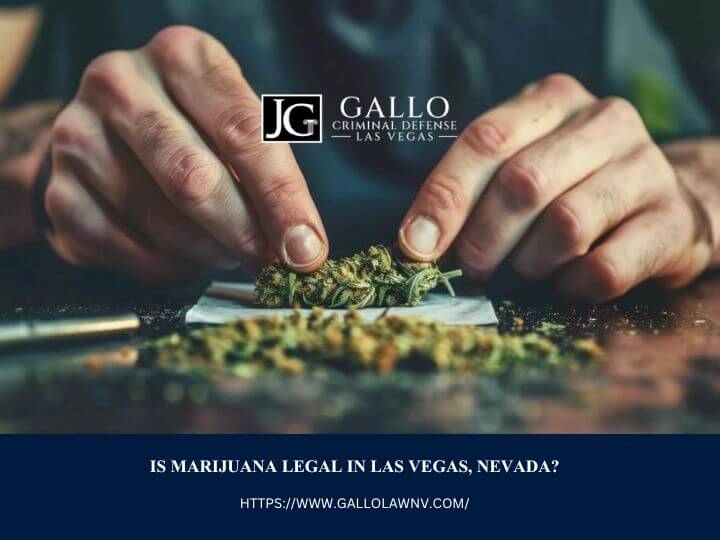 Gallo Criminal Defense Las Vegas, criminal defense lawyer in Las Vegas (3)