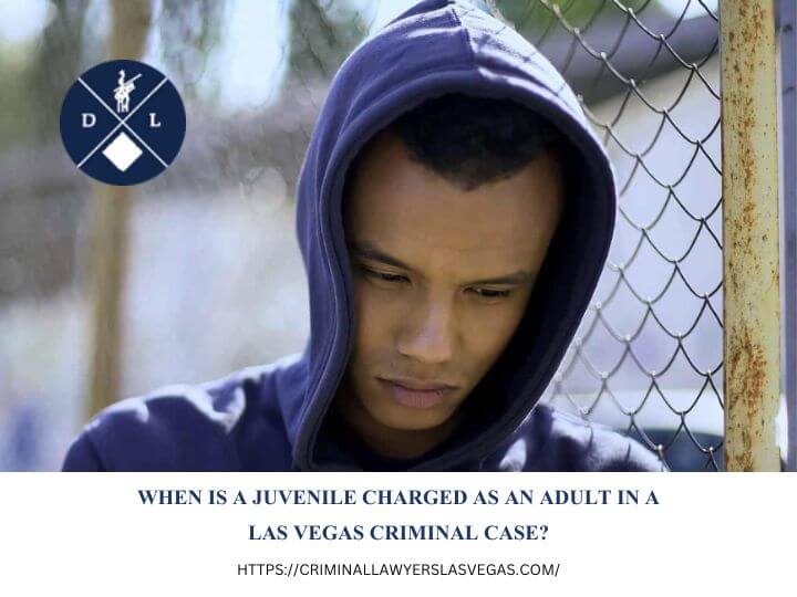 Lipp Law LLC, criminal defense lawyer in Las Vegas (3)